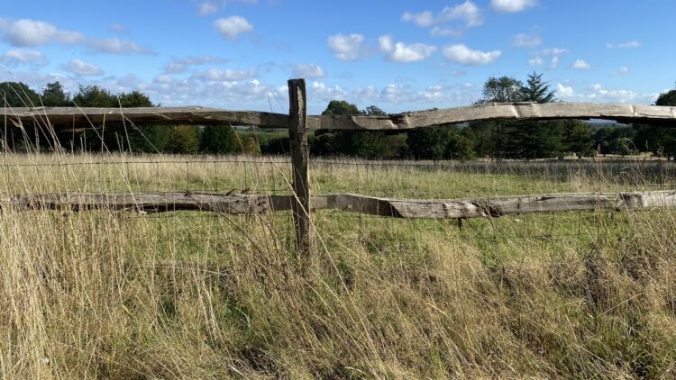 chestnut post and rail fencing
