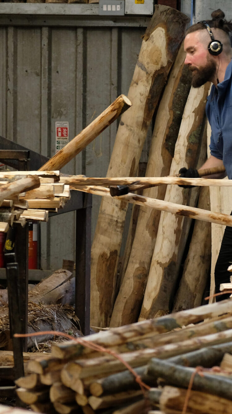 the traditional rural craft of chestnut pale making