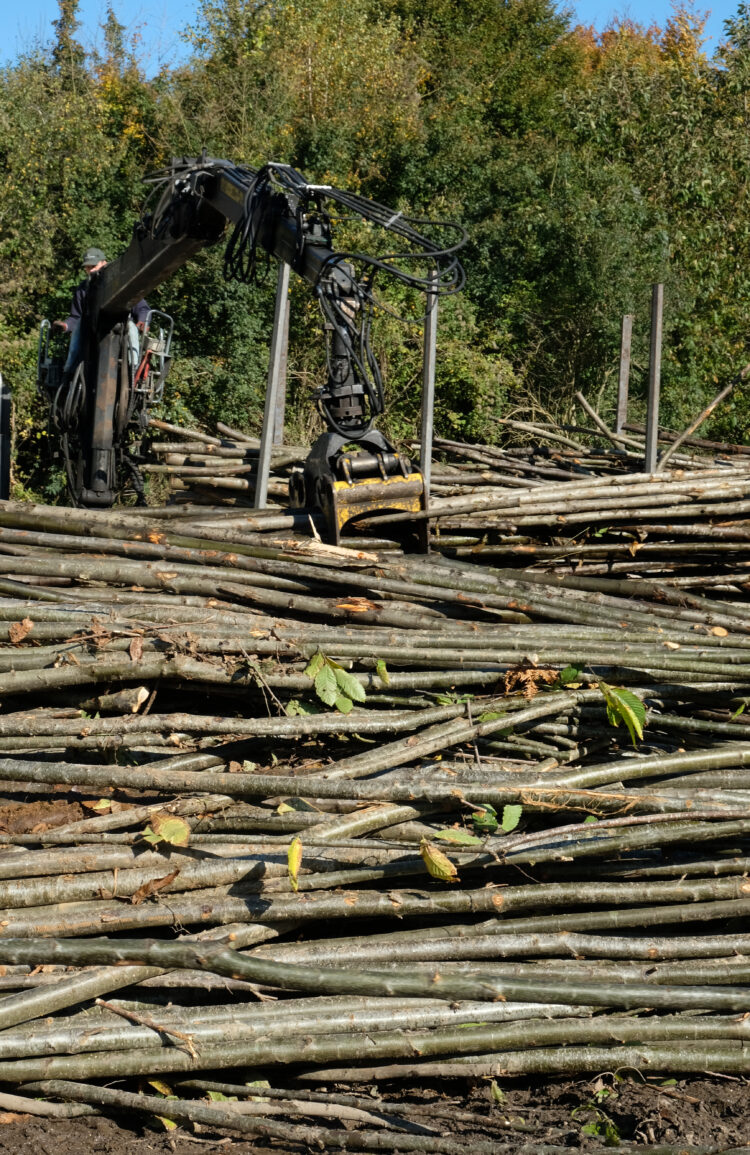 sustainability certification including fully FSC Chain of Custody