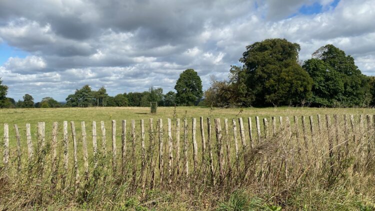 chestnut pale fencing